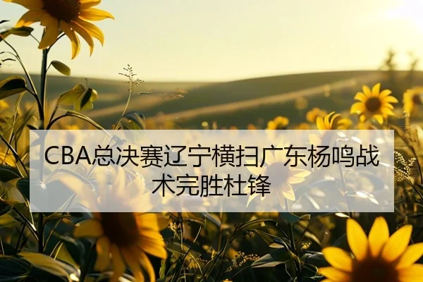 zong-jue-sai-liao-ning-heng-sao-guang-dong-yang-ming-zhan-shu-wan-sheng-du-feng-2-100.jpg